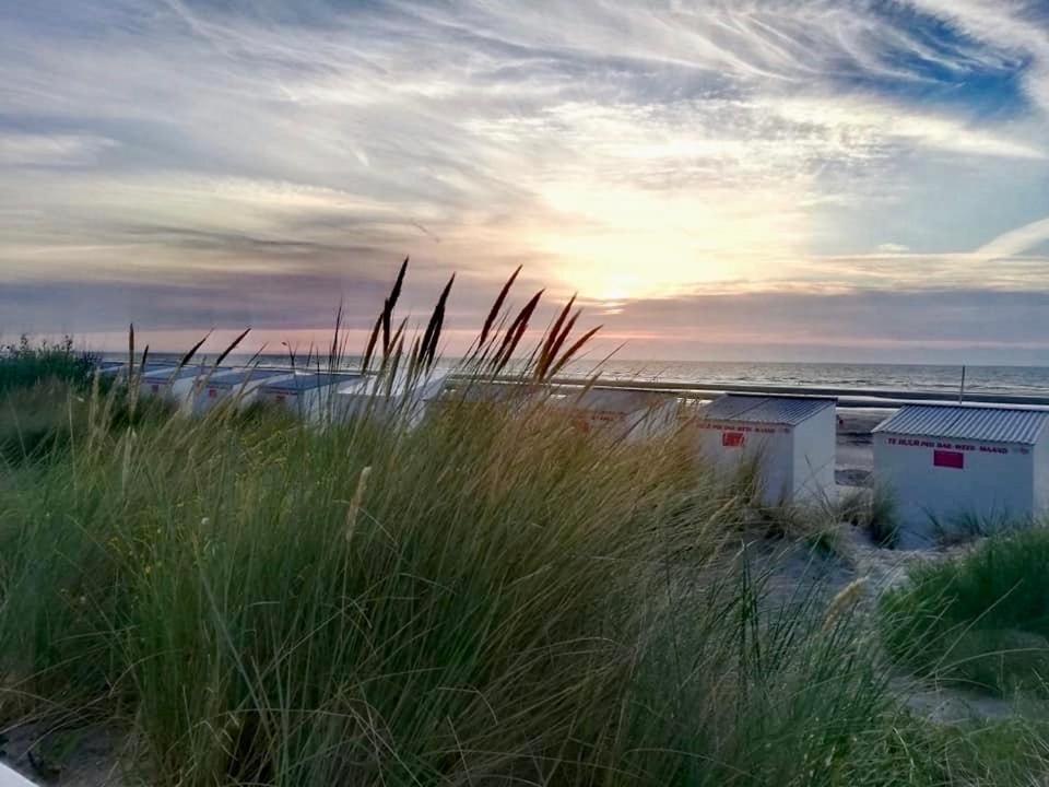 Seayousoon Nieuwpoort-Bad ภายนอก รูปภาพ